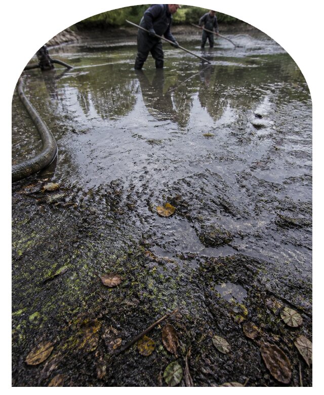 Очистка пруда в Астрахани от ила мусора и водорослей с вывозом